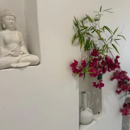 Hotel Old Town Muradie